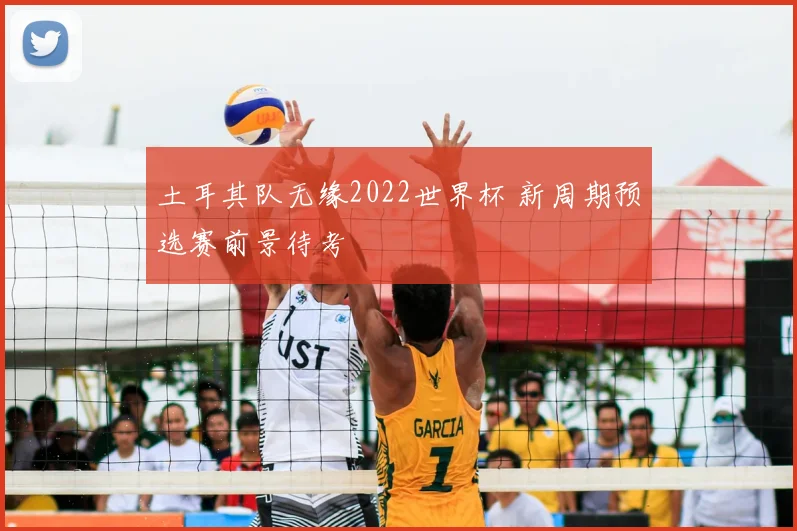 土耳其队无缘2022世界杯 新周期预选赛前景待考