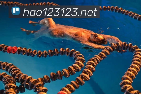 世界杯官网线上平台发展历程